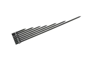 Cygnet Minimal CV Bankstick