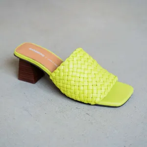 GIOSEPPO - Colrain in Lime