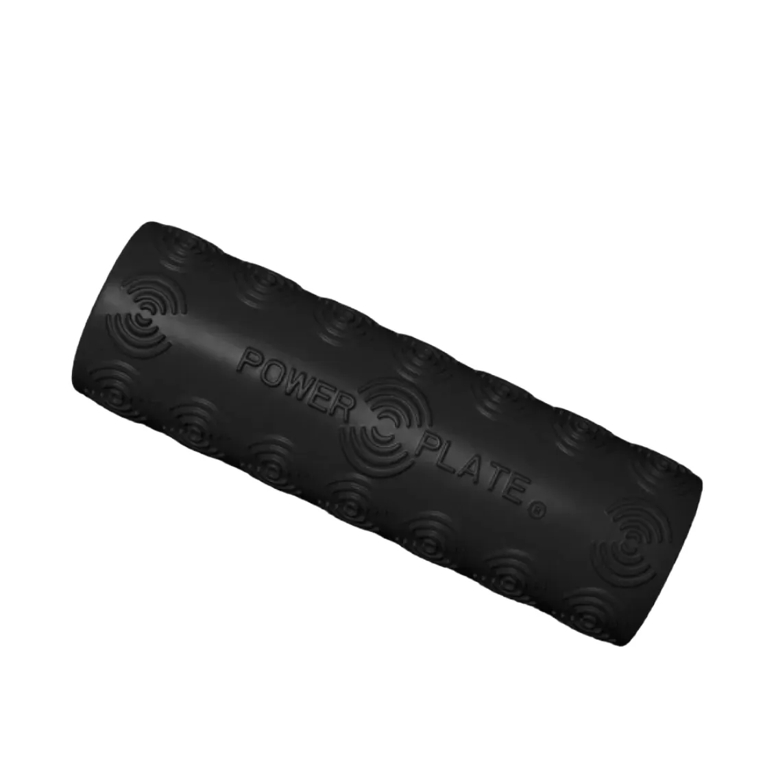 Ignite Body Transformation Bundle