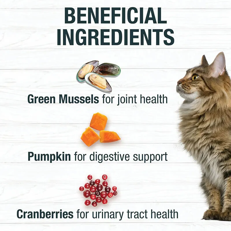 Koha Cat Minimal Ingredient Stew Turkey