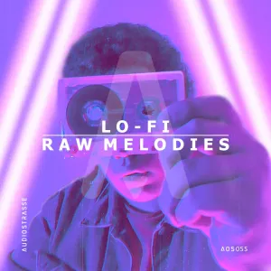 Lo-Fi Raw Melodies - Minimal - Tech House
