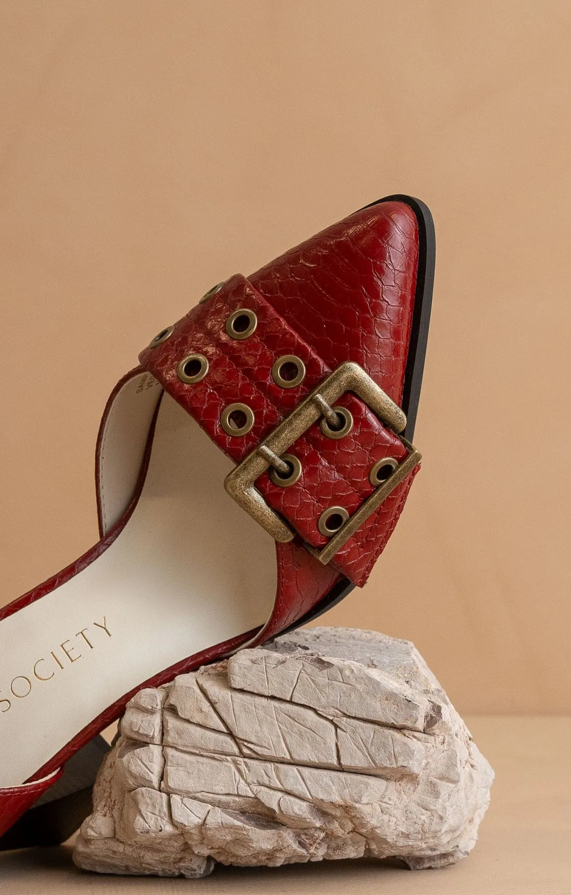 Lux - Double Buckle Pointed Heels