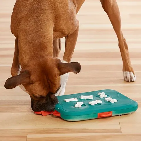 Nina Ottosson Dog Casino Level 3 (Advanced)