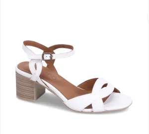 Roman | White