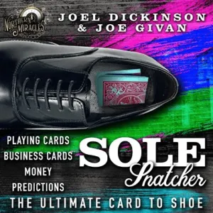 SOLE SNATCHER by Joel Dickinson & Joe Givan