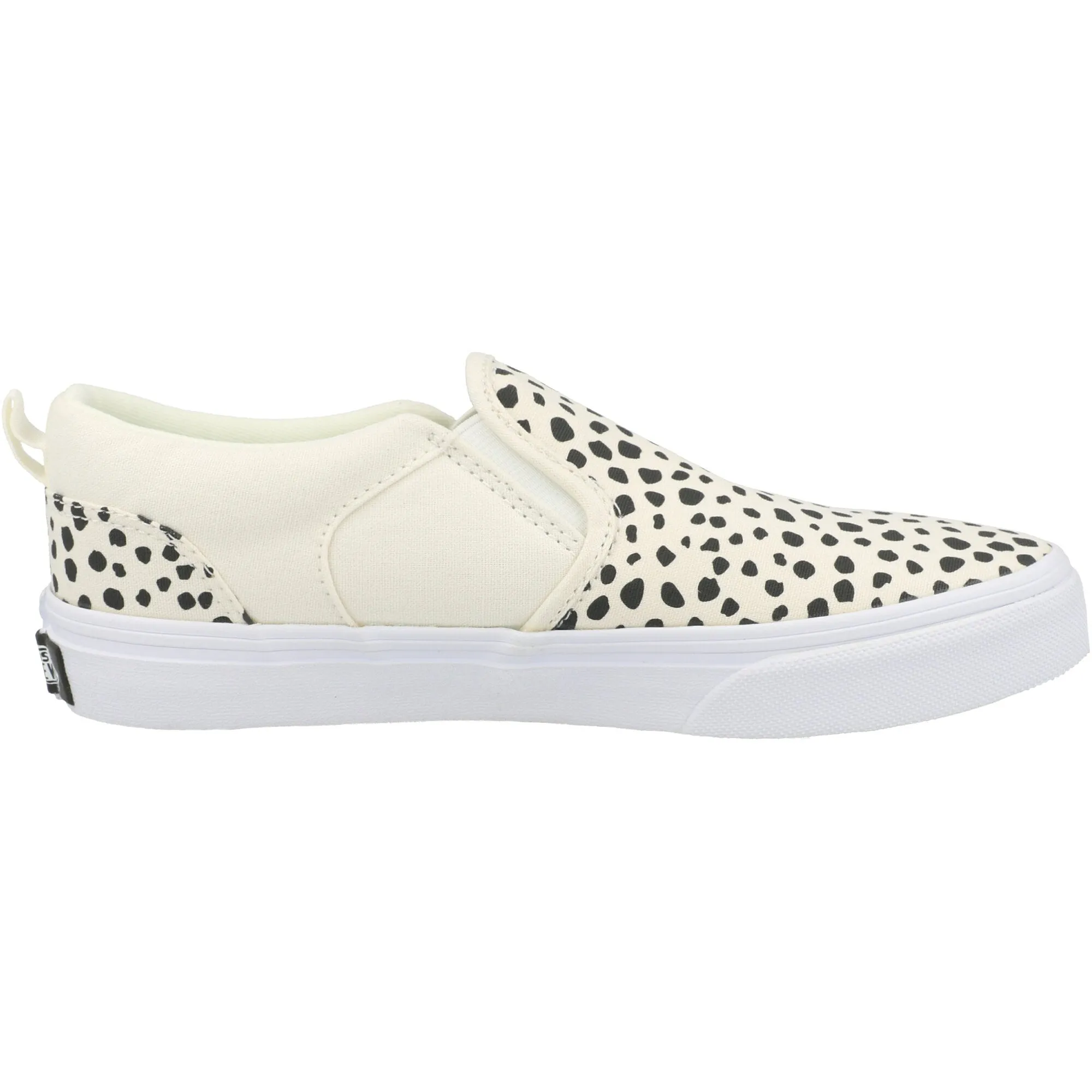 Vans Asher Black Ink Canvas Shoes