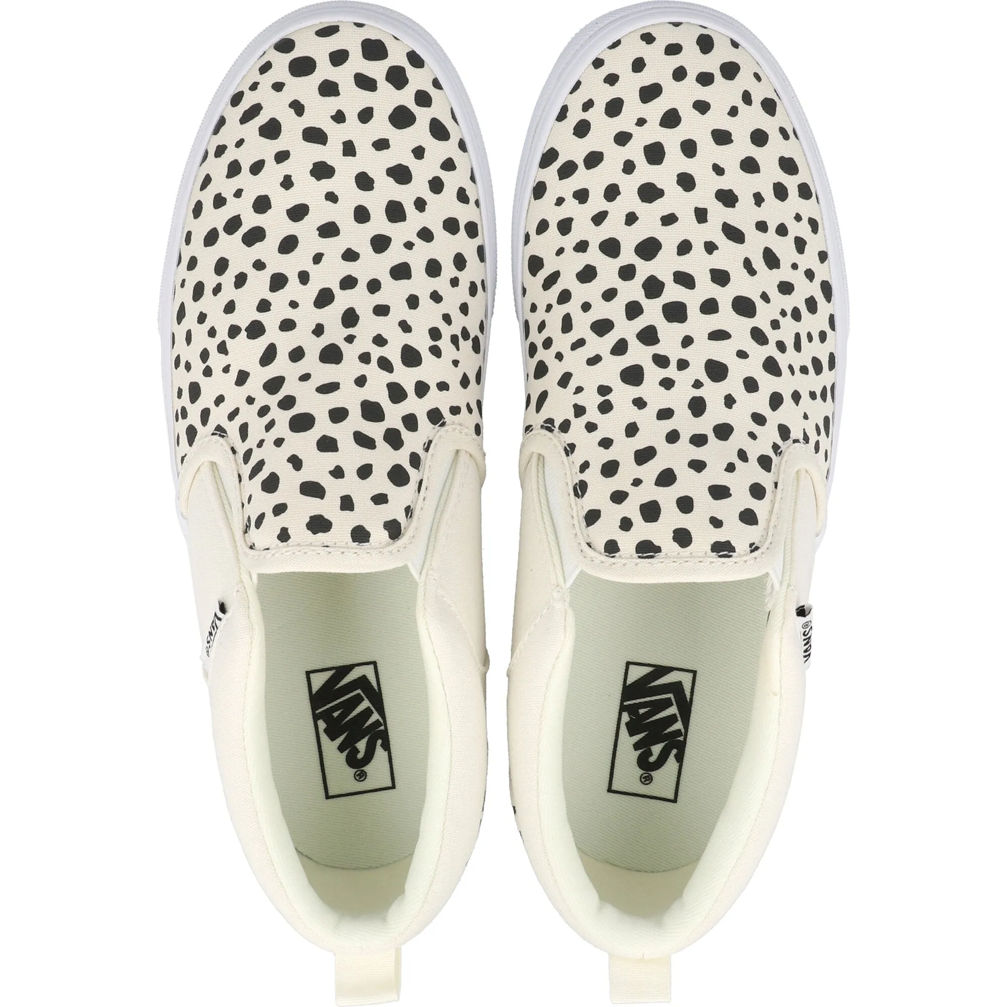 Vans Asher Black Ink Canvas Shoes